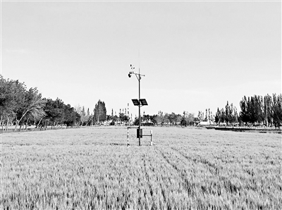 图为宁夏某地农田内，布设着农业气象观测系统的观测点。