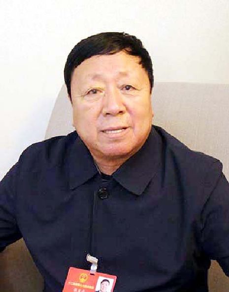 张文成代表