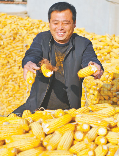 河北海兴县高湾镇苗庄子村村民平锁柱冬闲时节储存玉米。 　　人民视觉