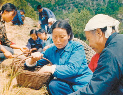 1981年9月,申纪兰参加西沟村植树造林活动。 资料照片