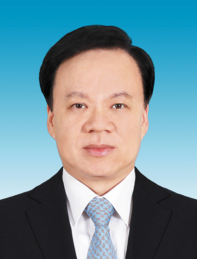 陈敏尔代表（重庆市委书记）