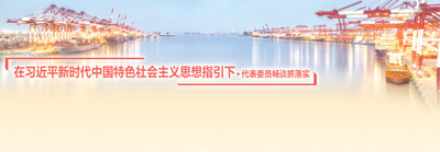 改革开放 瞄准更高目标（在习近平新时代中国特色社会主义思想指引下·代表委员畅谈抓落实）