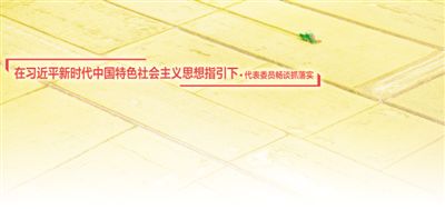 乡村振兴 小康成色更足（在习近平新时代中国特色社会主义思想指