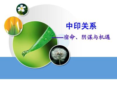 汲取中印文明“和”的养分（钟声）