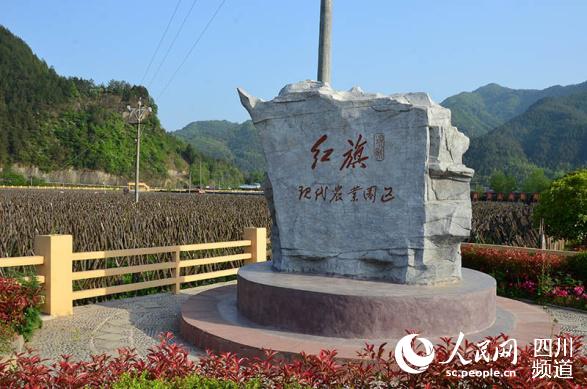 广元市青川县板桥乡红旗现代农业园。(记者陈曦 摄)