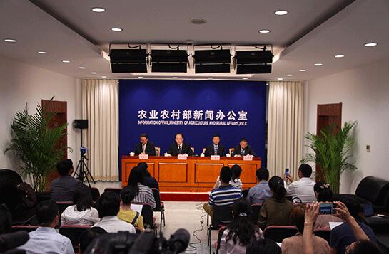 农业农村部新闻办公室举行新闻发布会,介绍我国种业发展有关情况,并回答记者提问。(人民网记者李彤 摄)