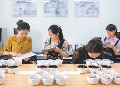 图为在云南省普洱市云南国际咖啡交易中心,咖啡质量品鉴师在给咖啡样品打分。 新华社记者 胡 超摄