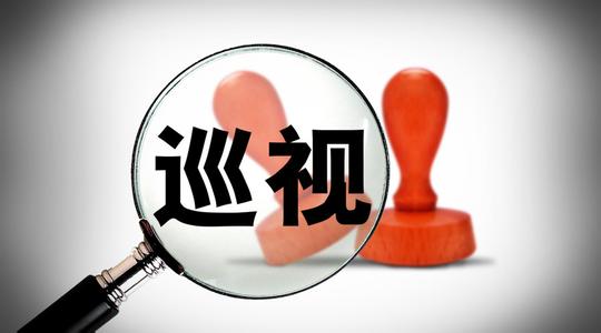 巡视