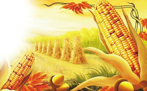 我国设立“中国农民丰收节”(在国新办新闻发布会上)