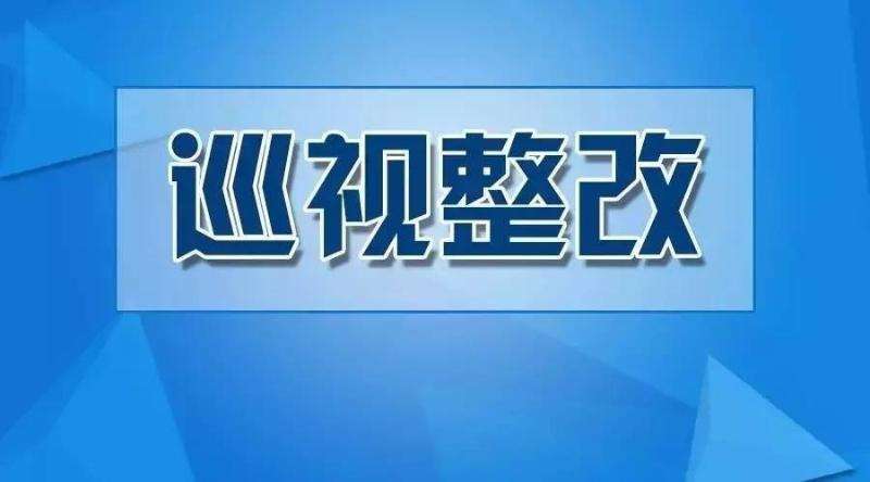 十九届中央第三轮巡视整改进展情况开晒