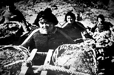 1955年,山东临沂厉家寨群众火热的劳动场景。(资料图片)