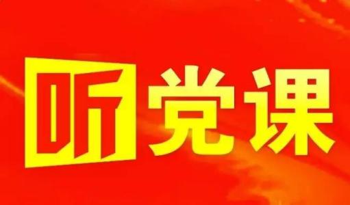 围绕政策落地强化政治监督 把“两个维护”落实到行动上