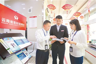 云南省曲靖市纪委监委紧盯以贷谋私、以权谋私等群众关注的重点领域开展违规借贷问题专项整治,严查金融风险背后的腐败问题。图为该市马龙区纪检监察干部在农信社查看贷款台账。方俊 摄
