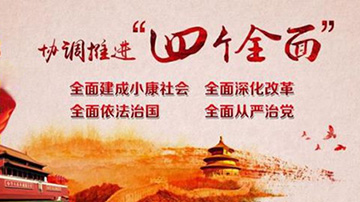 让我们的战略定力具有坚实支撑