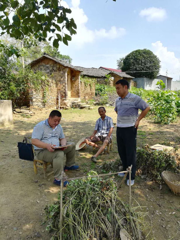 对照建档立卡贫困户档案中记录的帮扶措施实地核查贫困户艾蒿种植情况