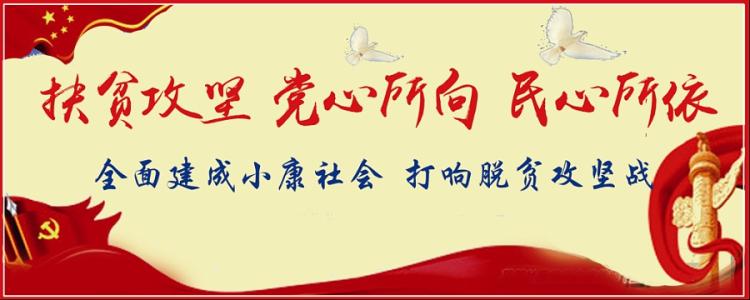 国机集团:开展扶贫资金使用情况专项监督检查