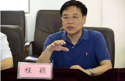 湖北省司法厅原党委副书记、副厅长程颖被双开