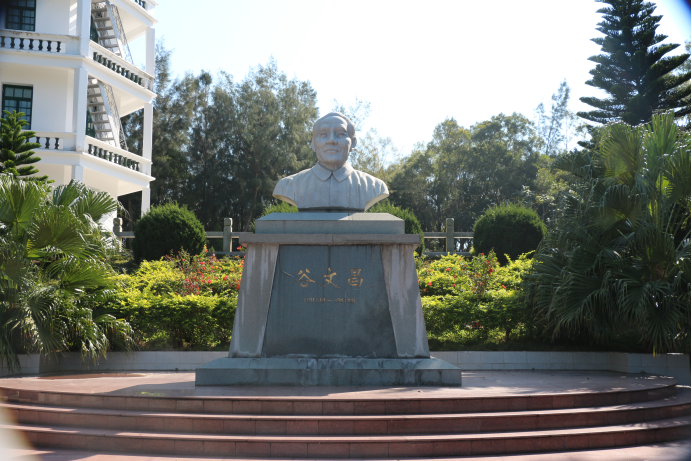 【纪检人·镜头】傲然挺立的木麻黄