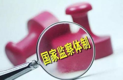 健全党和国家监督体系(认真学习宣传贯彻党的十九大精神)