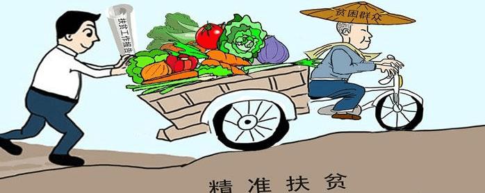 推进制度化、信息化、公开化 江苏:建"阳光扶贫"监管系统 保障