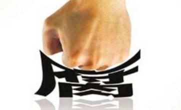 干扰巡视就是对抗组织（红船观澜）