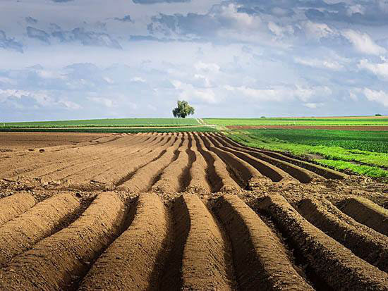 汇聚强大合力 推进乡村振兴（政策解读·机构改革进行时③）