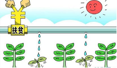 扶贫资源使用, 拒绝花架子(深阅读·防止扶贫形式主义②)