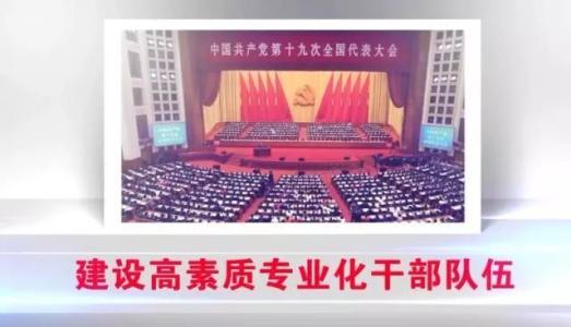 努力建设高素质专业化干部队伍