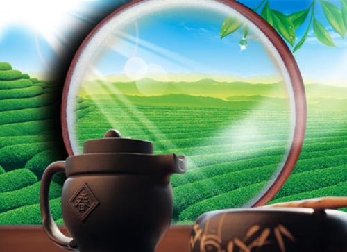 万家茶企,为何利润不及一个立顿(微观察)