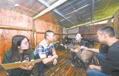 拍“蝇贪蚁腐”,还百姓心安