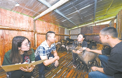 图为福建省闽侯县大湖乡纪检干部向建档立卡贫困户杨珍(右二)了解帮扶责任人履职情况。陈新星 摄