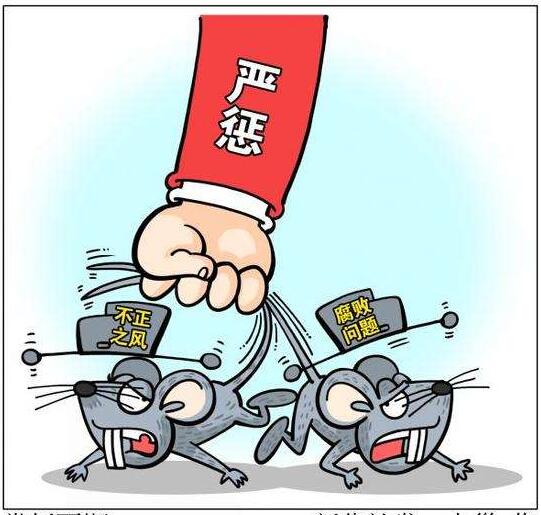 发挥好反腐败协调小组职能作用