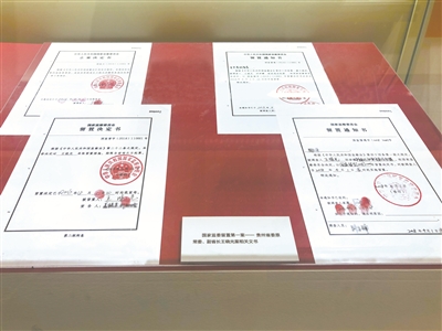 国家监委留置第一案——贵州省委原常委、原副省长王晓光案相关文书。(李云舒 摄)
