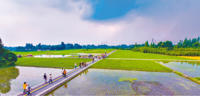 告诉你一个不一样的公园成都