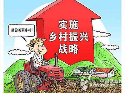 乡村振兴,党建来统领