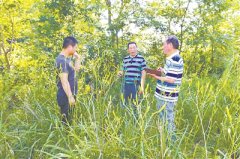 扶贫项目竟成书记“提款机”