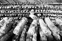 落实“四不摘” 脱贫实打实