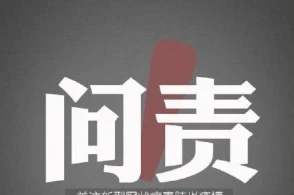 精准追责问责压实各方责任