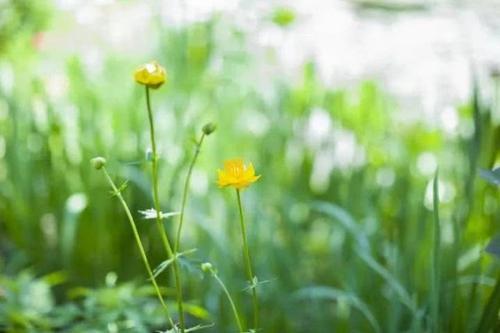纪检监察机关督促民政部门积极履职 有序做好清明祭扫管理服务