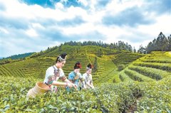 七仙女带火侗家寨 一名驻村纪检干部的网络扶贫故事