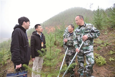 图为福建省明溪县纪检监察干部在林场查看当地生态修复情况。许林玮 摄