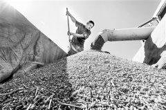 手中有粮 心中不慌