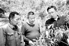 驻村五年 心系秦巴