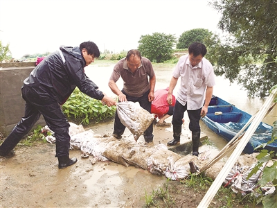 7月13日,江苏省宜兴市丁蜀镇纪检干部到该镇双庙村防汛一线,在督促履行抗洪抢险职责的同时,与当地干部群众一道加固河堤。毛光云 摄