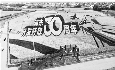 近日，上海市浦东新区惠南镇海沈村地铁16号线惠南东站旁，“浦东开发开放30周年”巨幅稻田画吸引不少游客前来观赏。“十四五”规划建议提出，推进京津冀协同发展、长江经济带发展、粤港澳大湾区建设、长三角一体化发展，打造创新平台和新增长极。（图片来源：人民视觉）