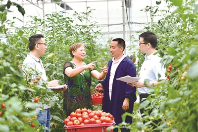 重庆市忠县纪委监委紧盯扶贫领域腐败和作风问题,深入各镇村社区、扶贫产业基地及建档立卡贫困户家中,对享受产业扶贫政策落实情况进行走访核实,护航脱贫攻坚。图为该县纪检监察干部在新立镇官坪村产业扶贫基地了解有关情况。彭俊华 摄