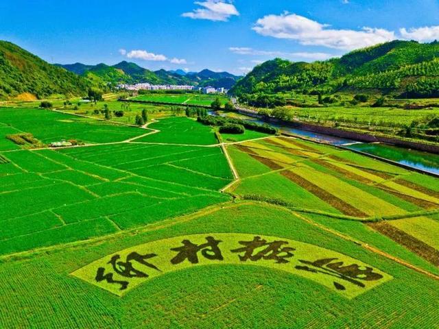 为乡村振兴提供坚强纪律保障
