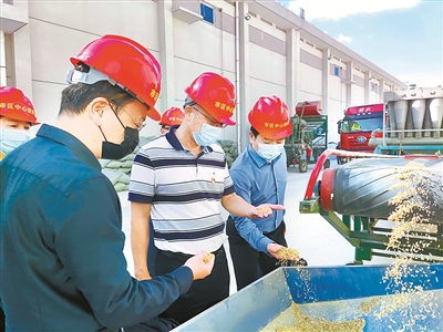 福建省泉州市纪检监察干部到市区中心粮库实地查访粮食储存和购销情况。杨一鸣 摄