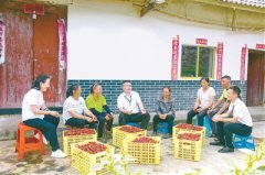 履职不力、违规操作、虚报套取，惠民惠农补贴发放漏洞频出 “一卡通”卡在了哪里