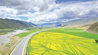 拉林公路沿线油菜花和青稞地田园风光。新华社记者 张汝锋 摄